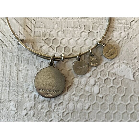 Alex and Ani Silver U.S. Marine Corps Charm Bangle - Picture 8 of 8